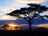 Nekonečné pláně Serengeti, romatika na en-tou 